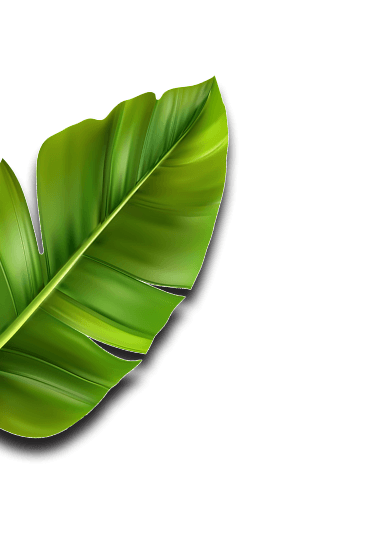 bg image