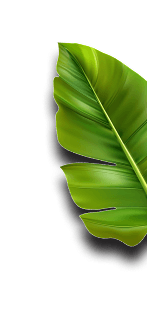 bg image